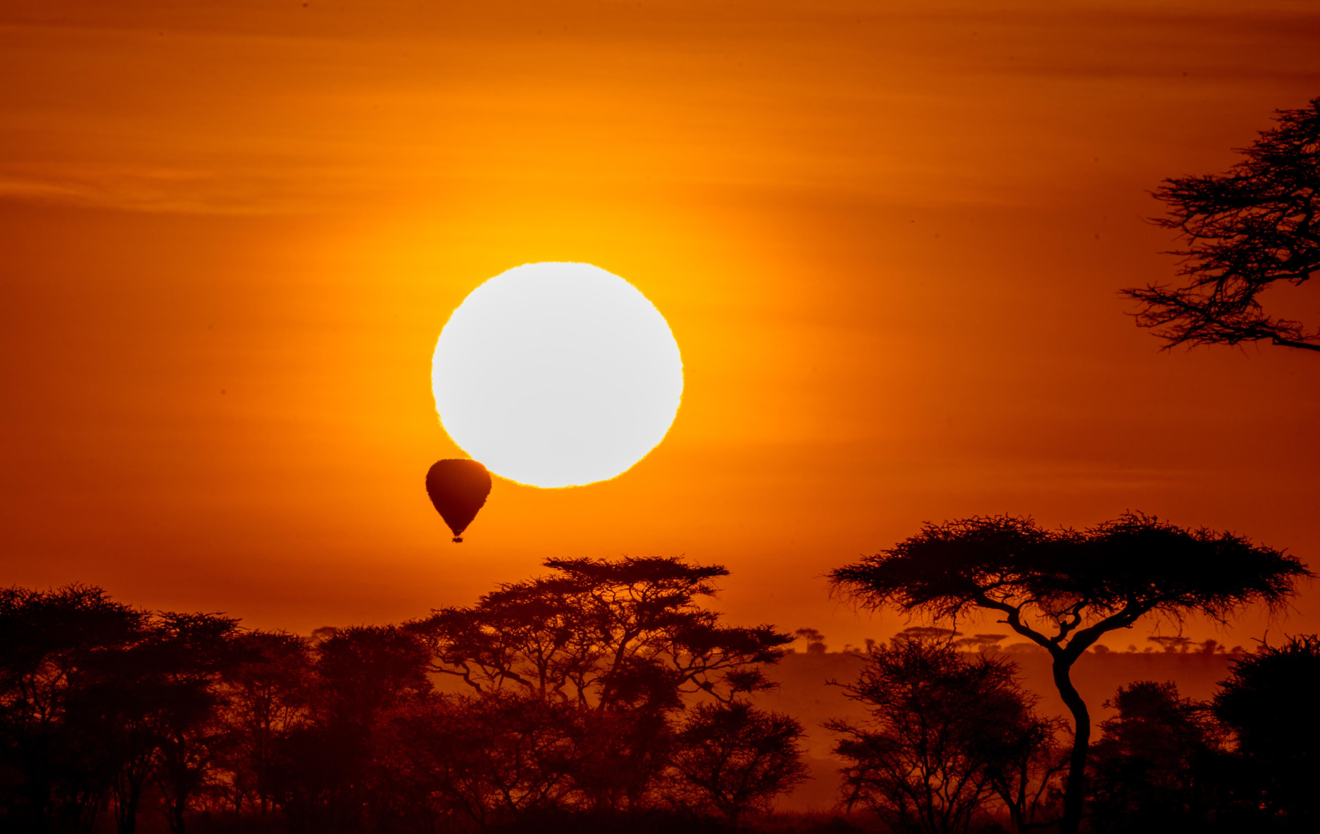 Wildlife photograph from a Tanzania safari departure